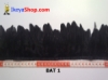 BAT 1 medium.jpg